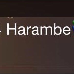 Meet your Posher, Will