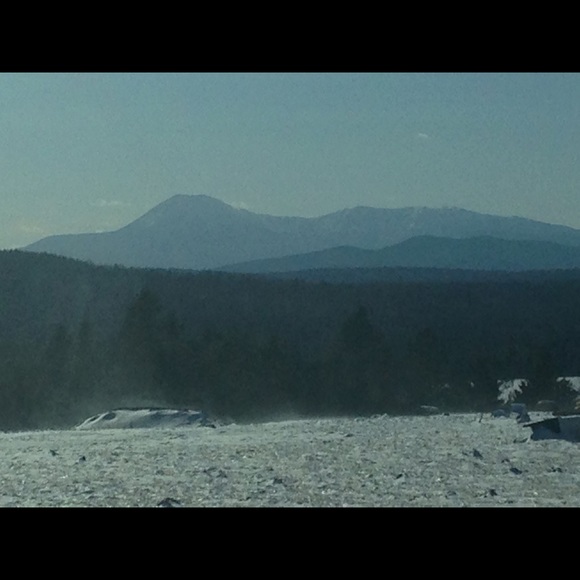 Meet your Posher, Carey - Picture 2 of 2