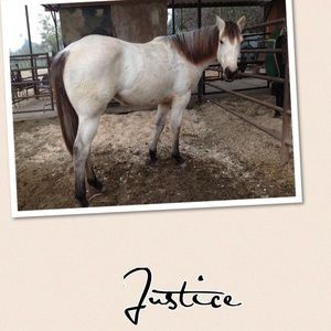 Meet your Posher, Darla