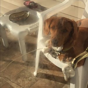 Meet your Posher, Patricia