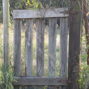 Meet your Posher, Lisa n duane