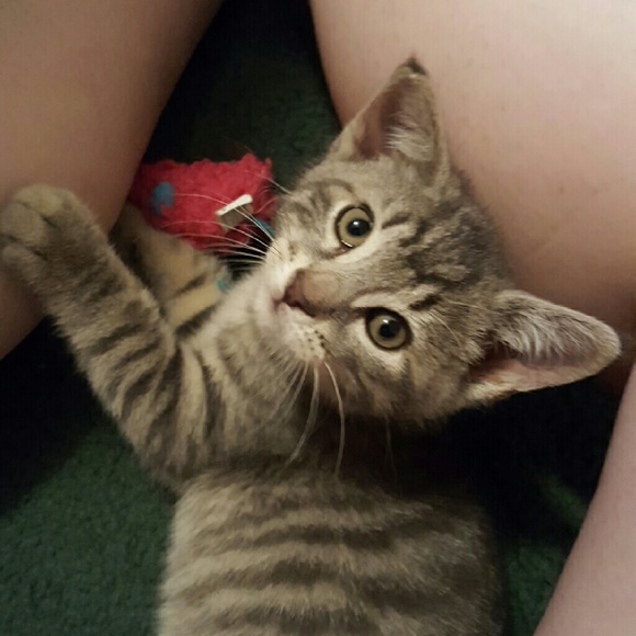 Meet your Posher, Ariana