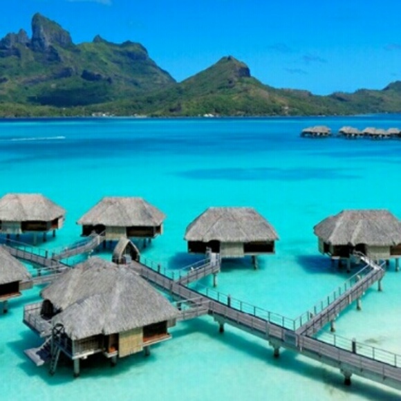 Meet your Posher, Ran