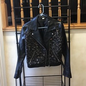 NWT H&M leopard print faux motorcycle jacket