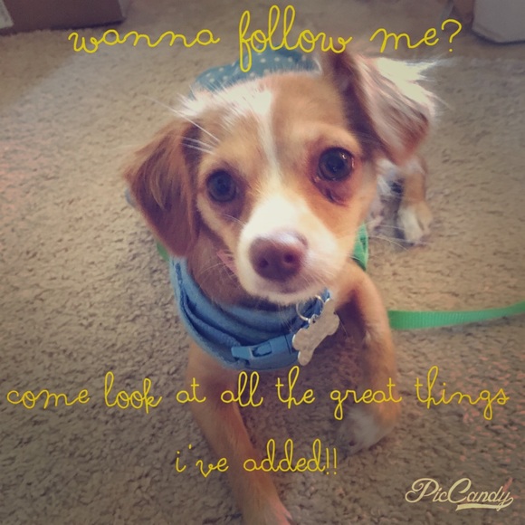 Accessories - Help me get 80k followers!