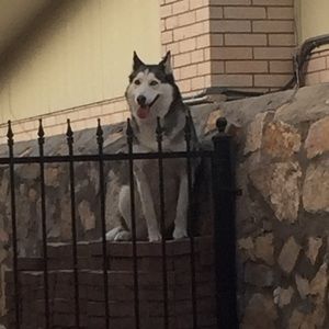 Meet your Posher, Jessica