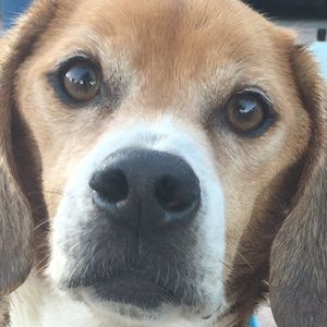 Meet your Posher, Grant