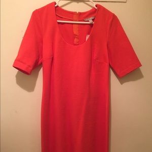 Brand new Banana Republic dress