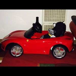 Meet your Posher, Carlos