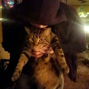 Meet your Posher, Krystal