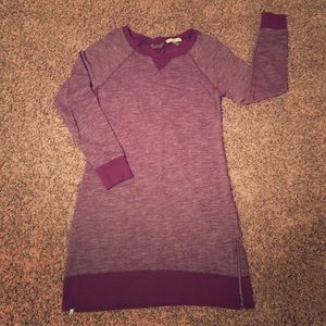 Banana Republic Sweatshirt dress