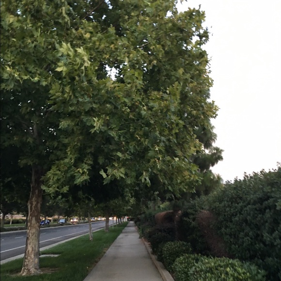 Meet your Posher, Maisha