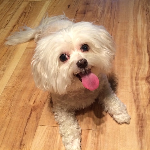 Meet your Posher, Rachele πΎβοΈπ - Picture 2 of 3