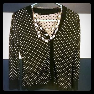 Maurices Navy/White Polka Dot Cardigan