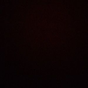 Meet your Posher, Tommy