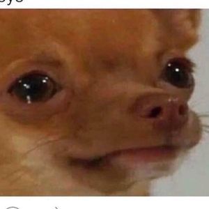 Meet your Posher, Jevon