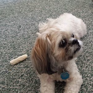 Meet your Posher, Colene