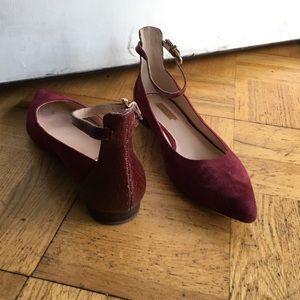 Pointy Toe Ankle Strap Flats