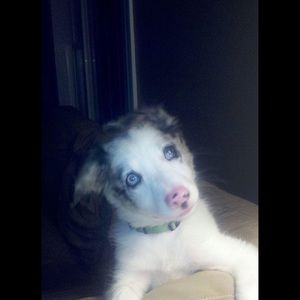 Meet your Posher, Heather