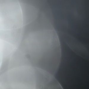 Meet your Posher, Spencer