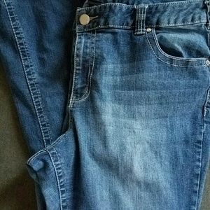 Lane Bryant  Genius Fit Jeans