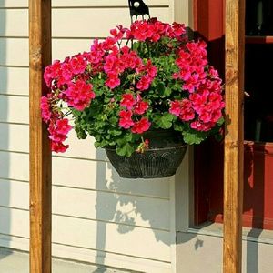 Meet your Posher, Susan