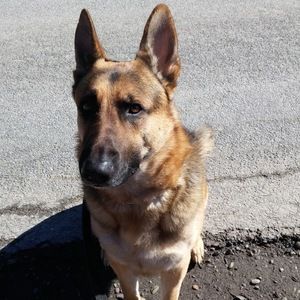 Meet your Posher, Robyn