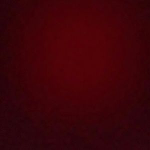 Meet your Posher, Adamari