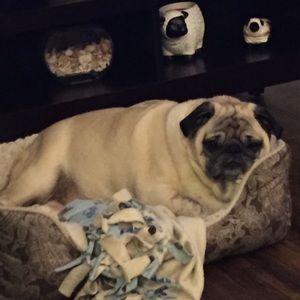 Meet your Posher, Tammy