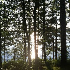 Meet your Posher, Elisabeth