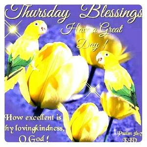 Meet your Posher, Victorine