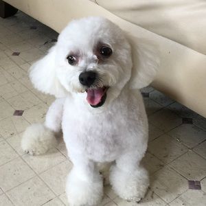 Meet your Posher, Teresa