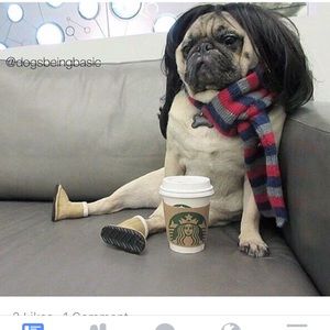 Meet your Posher, Elvisa