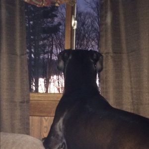 Meet your Posher, Jackie