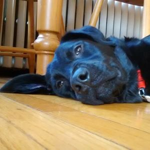 Meet your Posher, Colleen