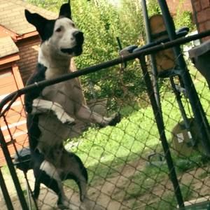 Meet your Posher, Jay