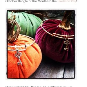 🎃Bangle of the Month🎃 Alex & Ani Skeleton Key