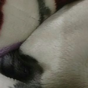 Meet your Posher, Chelsie