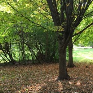 Meet your Posher, Zach