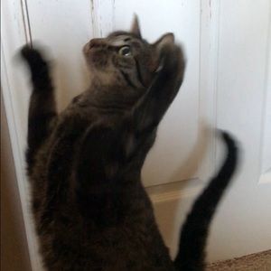 Meet your Posher, Kate