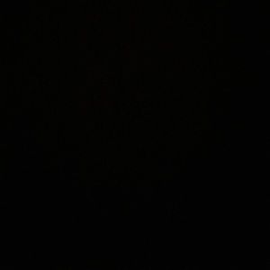 Meet your Posher, Tracie