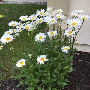 Meet your Posher, Nirav