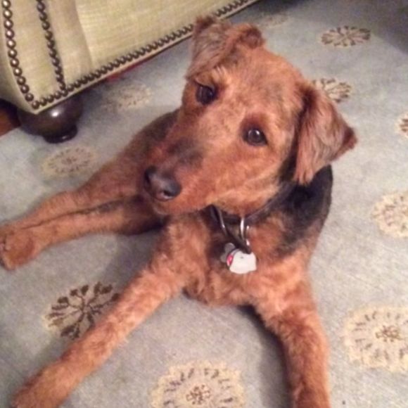 Meet your Posher, Cathy