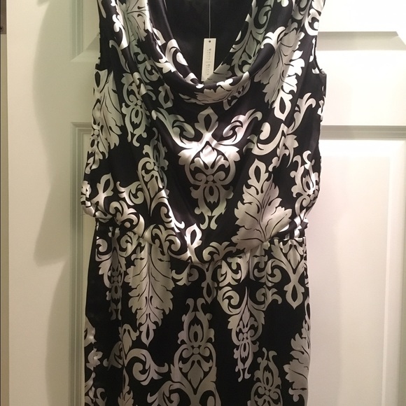 NWT WHBM Silk Dress