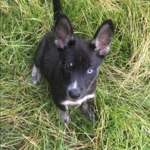 Meet your Posher, Aj