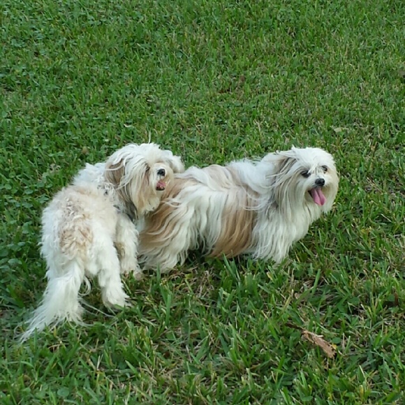 Meet your Posher, Rayelity! - Picture 1 of 1