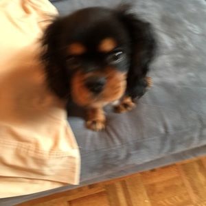 Meet your Posher, Nick