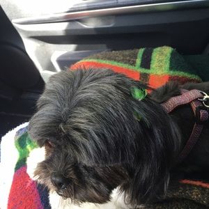 Meet your Posher, Dara