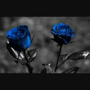 Meet your Posher, Flower