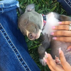 Meet your Posher, Amy